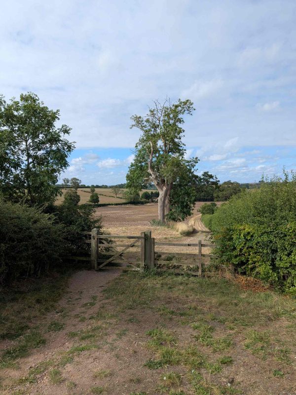 Lovely lane at start of walk